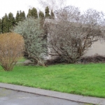 8116 8th Ave. S